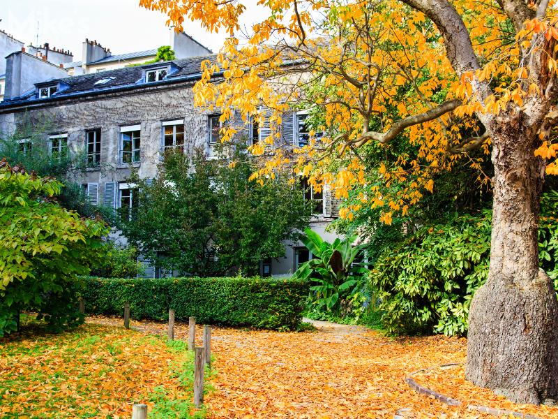 Jardin des Plantes