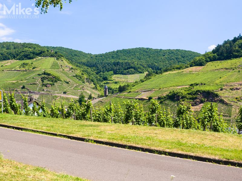 Mosel Wine Road