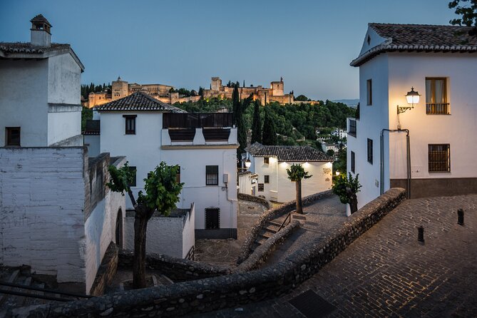 Alhambra With Nazaries Palaces Private Tour - Inclusions