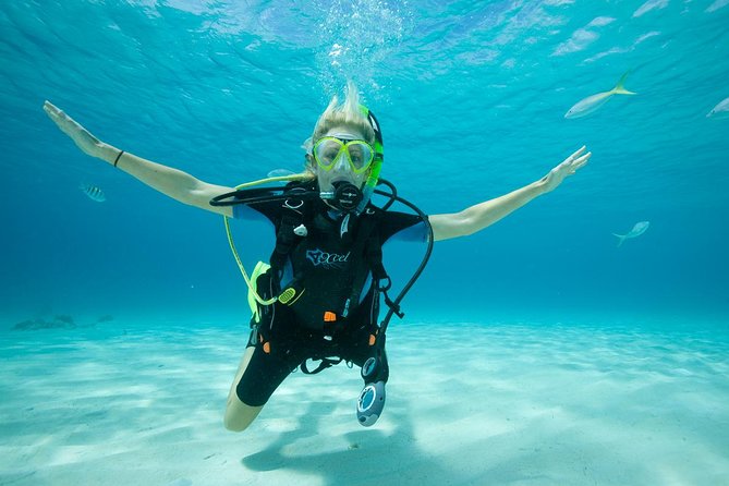 Beginners Scuba Diving Experience in Gran Canaria - Overview of the Experience
