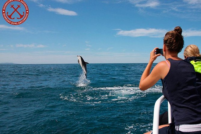 Dolphin Watching in the Brijuni National Park From Pula - Inclusions and Amenities