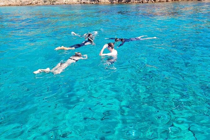 Dolphin Watching Tour With Snorkeling From Olbia