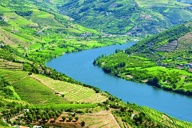 Douro Valley: Food and Wine Small Group Tour From Porto - Overview of the Tour
