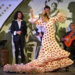 Flamenco Rooster Show Admission Ticket Show Times