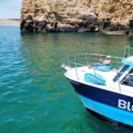 Half Day Cruise To Ponta Da Piedade With Lunch And Drinks Overview Of The Cruise
