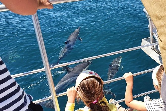 Incredible Dolphin Watching Experience on Our Family Friendly Catamaran – Lagos