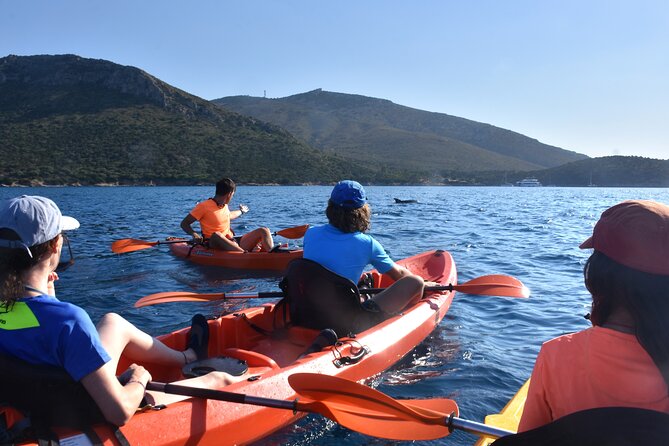 Kayak Tour With Aperitif and Dolphins - Tour Inclusions