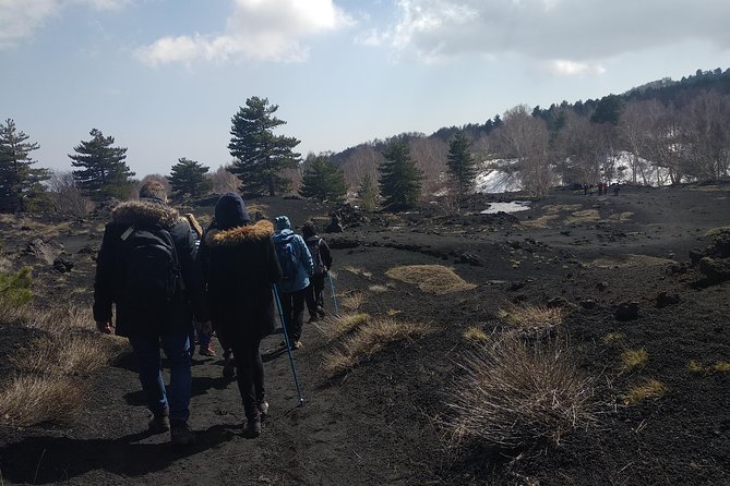 Mount Etna Half-Day Tour - Small Groups From Taormina - Suitability and Requirements