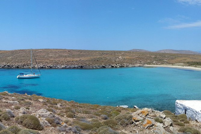 Mykonos: Combo Yacht Cruise to Rhenia and Guided Tour of Delos (Free Transfers) - Guided Tour of Delos