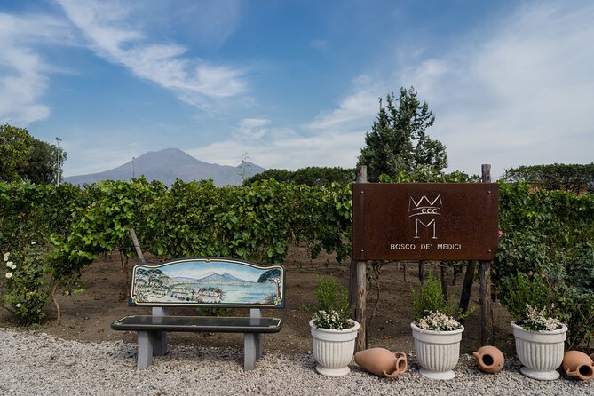 Private Pompeii Wine Tasting With Lunch - Exploring Pompeiis Vineyards and Cellars