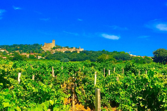 Provence Cru Wine Small-Group Half-Day Tour From Avignon