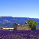 Provence Lavender Fields Tour From Aix En Provence Inclusions