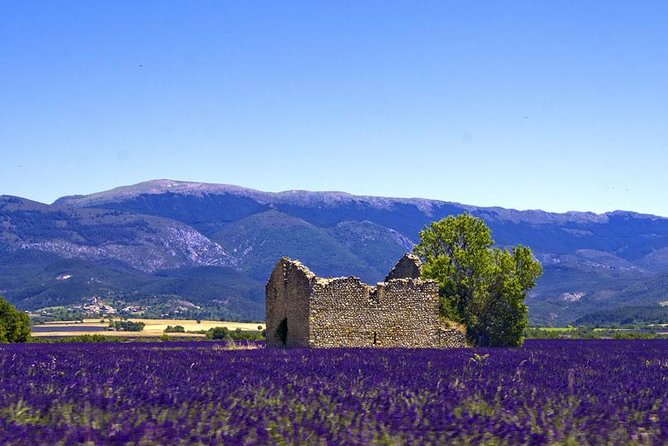 Provence Lavender Fields Tour From Aix-En-Provence - Inclusions