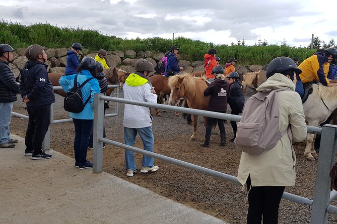 Red Lava Horse Riding Tour From Reykjavik - Overview of the Tour