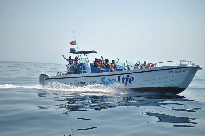 Sealife Sea Safari, Dolphin Watching With Marine Biologists Lagos - Overview of the Excursion