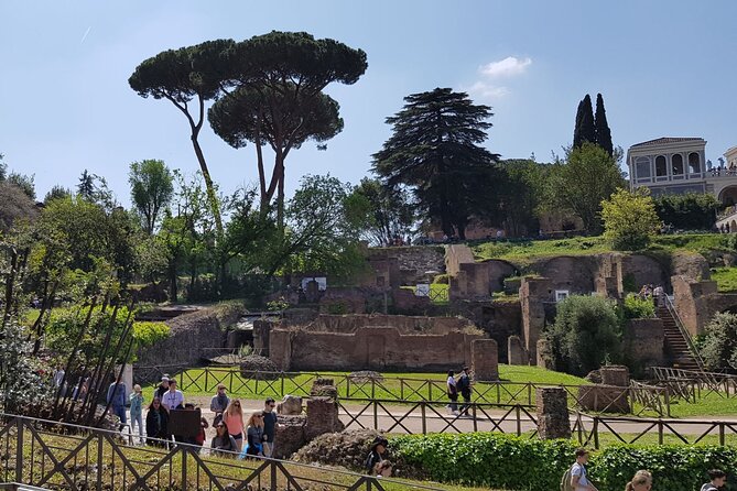Small Group Colosseum Arena Floor Roman Forum and Palatine Hill - Product Overview