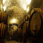 Tasting Tour In One Of The Most Beautiful Cellars In The World Exploring The Authentic Wine Cellar