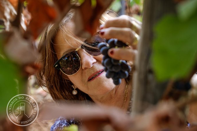 Tour & Wine Tasting – Authentic Algarve Flavours by Quinta Da Tôr