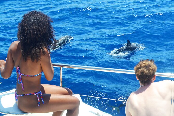 VipDolphins Luxury Whale Watching - Onboard Amenities and Refreshments