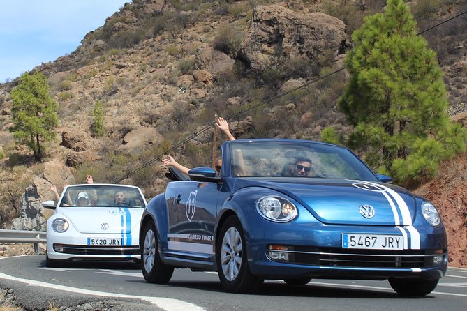 Vw Beetle Convertible Island Tour Discover the Island on a Different Way - Explore Pine Forests