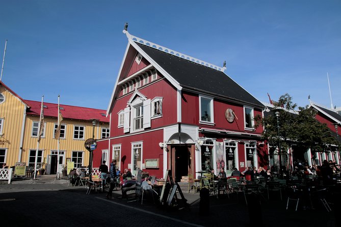 Walking Tour of Reykjavik City - Overview of the Walking Tour