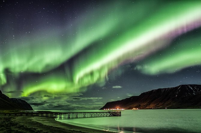 #1 Northern Lights Tour in Iceland From Reykjavik With PRO Photos - Inclusions