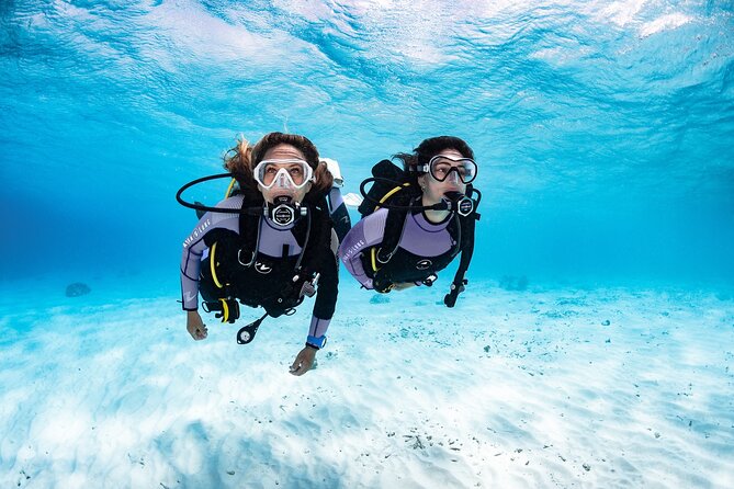 3-Hour Guided PADI Scuba Diving Experience in Tenerife - Diving Basics Theory Session