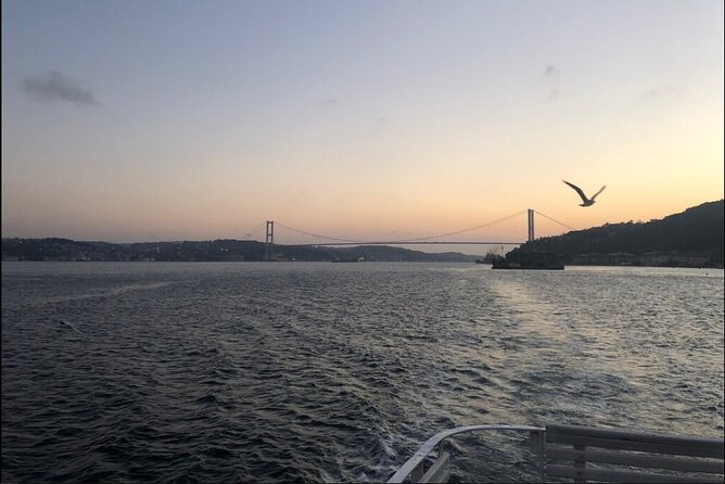 3 Hours Bosphorus Cruise With 1 Hour Stop in Asia Side - Inclusions and Amenities