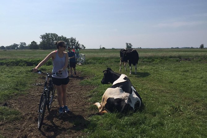 Amsterdams Countryside Half-Day Bike Tour in Small Group - Meeting and Pickup