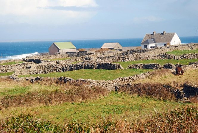Aran Islands and Cliffs of Moher Cruise From Galway - Cruise Inclusions