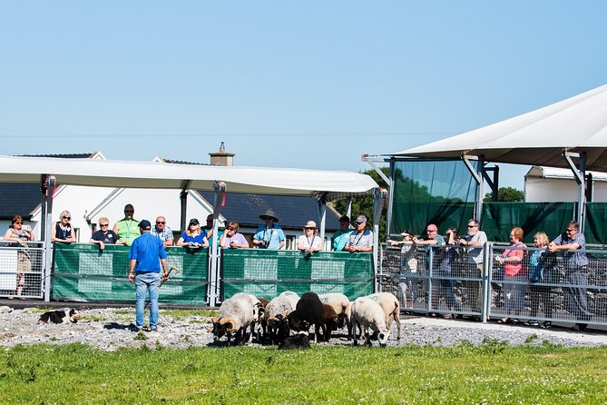 Caherconnell Fort & Sheepdog Demonstrations - Admission Inclusions