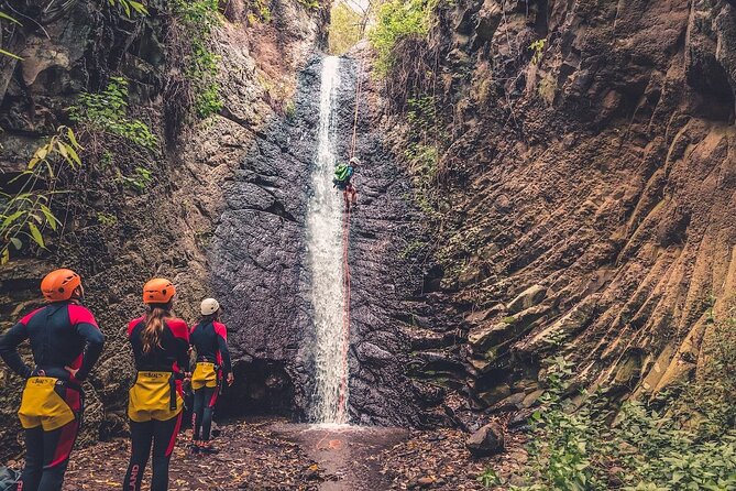 Canyoning With Waterfalls in the Rainforest - Small Groups ツ - Tour Inclusions