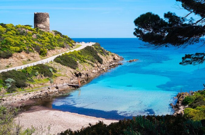 Catamaran Excursions in the Asinara Island National Park - Catamaran Tour Highlights