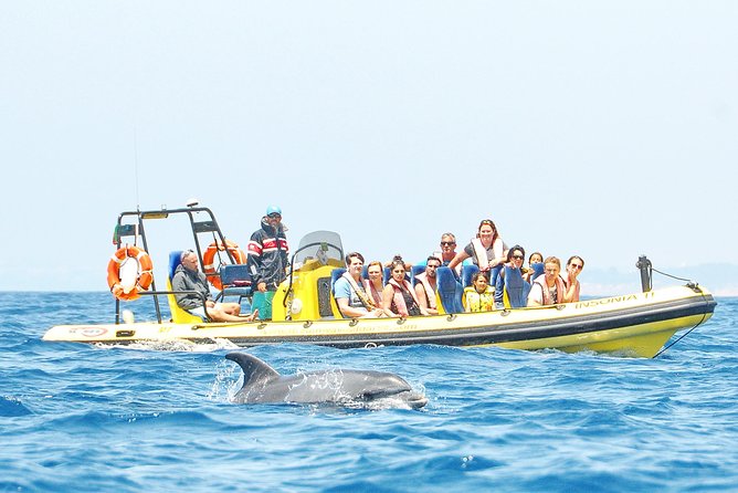 Caves and Dolphin Watching Cruise From Albufeira - Dolphin Watching Opportunity