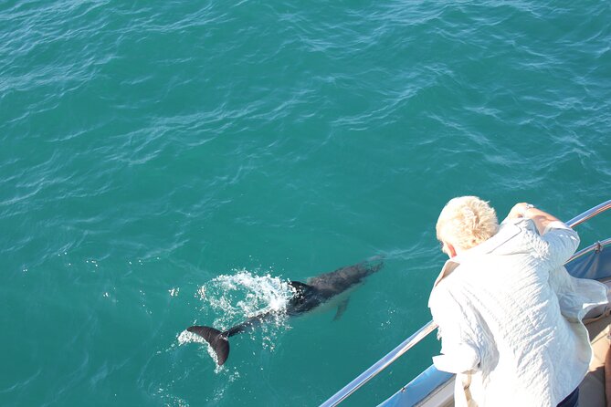 Dolphin Watching in Gibraltar With the Blue Boat Dolphin Safari - Maritime History of the Strait