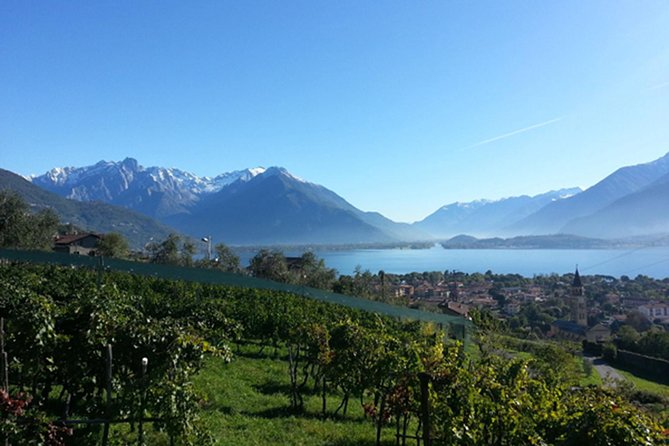 Domaso: Wine Tasting at the Winery on Lake Como - Whats Included in the Tour