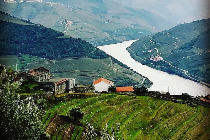 Douro Valley: Food and Wine Small Group Tour From Porto - Meeting Point and Pickup