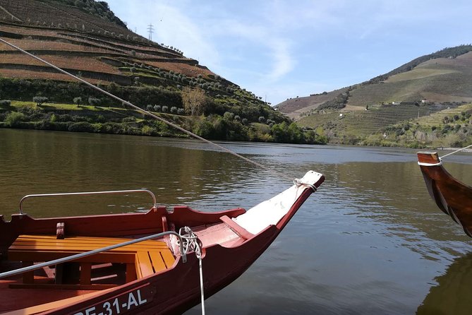 Douro Valley: Small-Group Tour Wine Tasting, Lunch, River Cruise - Wine Estate Visits