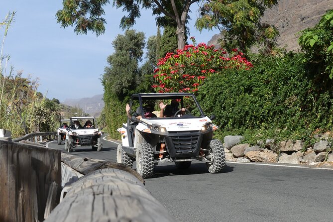 EXCURSION IN UTV BUGGYS ON and OFFROAD FUN FOR EVERYONE! - Group Size and Transportation
