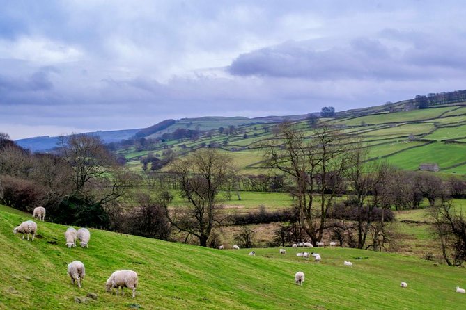 Full-Day Yorkshire Dales Tour From York - Tour Logistics
