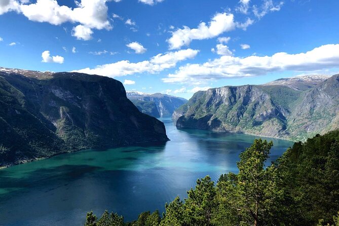 Guided Tour To Nærøyfjorden, Flåm And Stegastein - Viewpoint Cruise - Inclusions in the Package