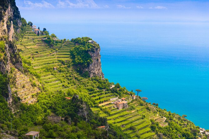 Hands-On Cooking Class & Farmhouse Visit in the Amalfi Coast - Delectable Amalfi Cuisine