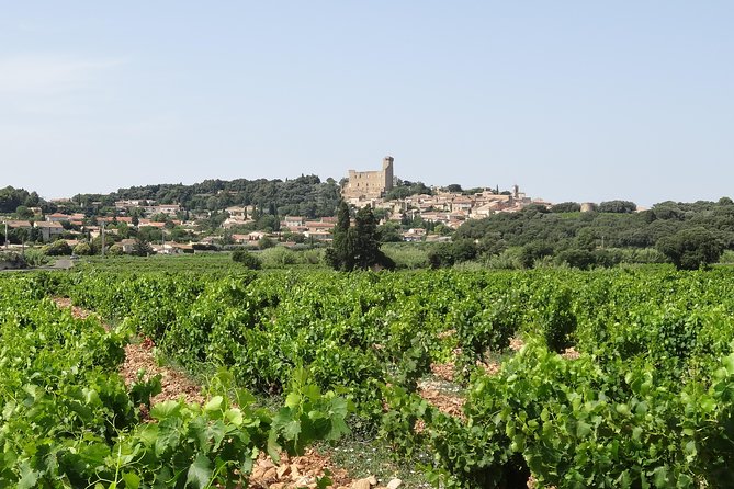 Highlights of Provence: Chateauneuf Du Pape & Luberon - Panoramic Views of Rhone Valley