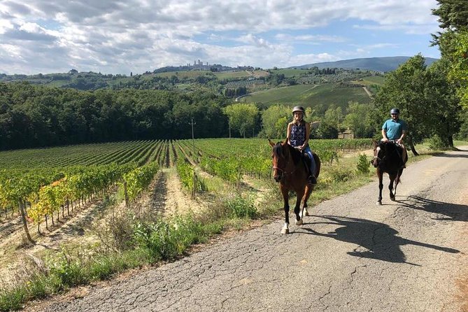 Horseback Ride in S.Gimignano With Tuscan Lunch Chianti Tasting - Inclusions