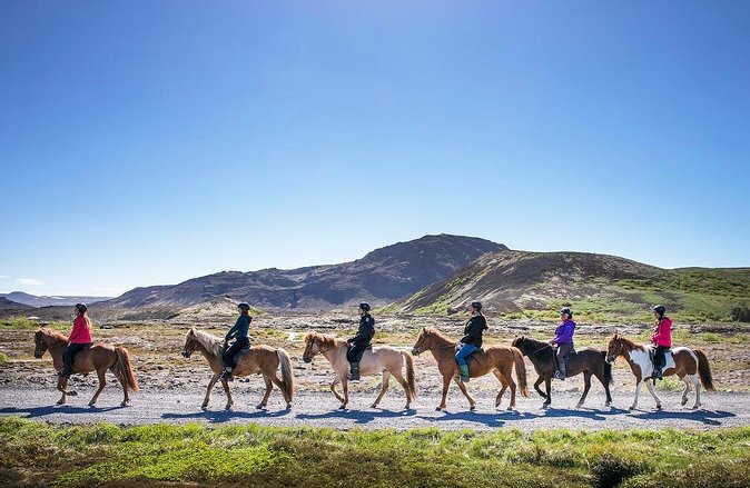 Icelandic Horseback Riding Tour From Reykjavik - Participant Requirements
