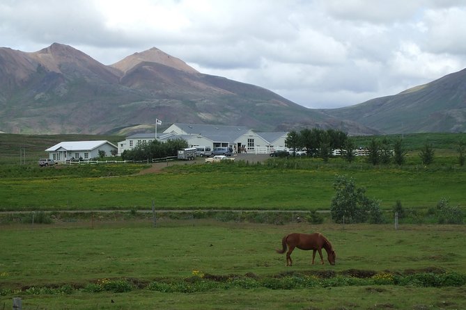 Icelandic Horseback Riding Tour Including Pick up From Reykjavik - Pickup Details for Reykjavik Center