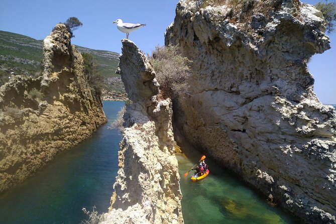 Kayak Adventure: Cliff Jumping, Sea Caves, Snorkeling and Lunch - Venturing Into Majestic Sea Caves