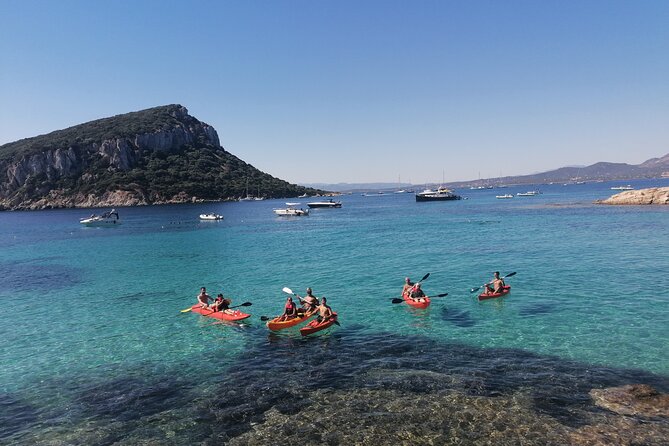 Kayak Tour With Aperitif and Dolphins - Meeting and Pickup