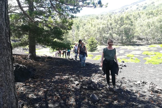 Mount Etna Half-Day Tour - Small Groups From Taormina - Meeting Point and Directions