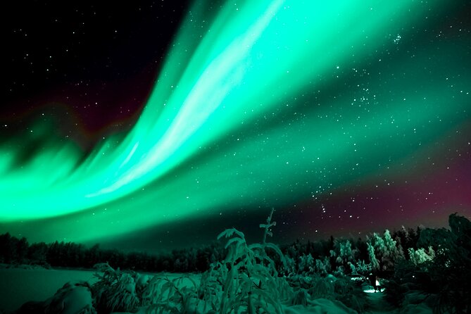 Northern Lights Rovaniemi: Guaranteed Viewing & Unlimited Mileage - Professional Photography Service